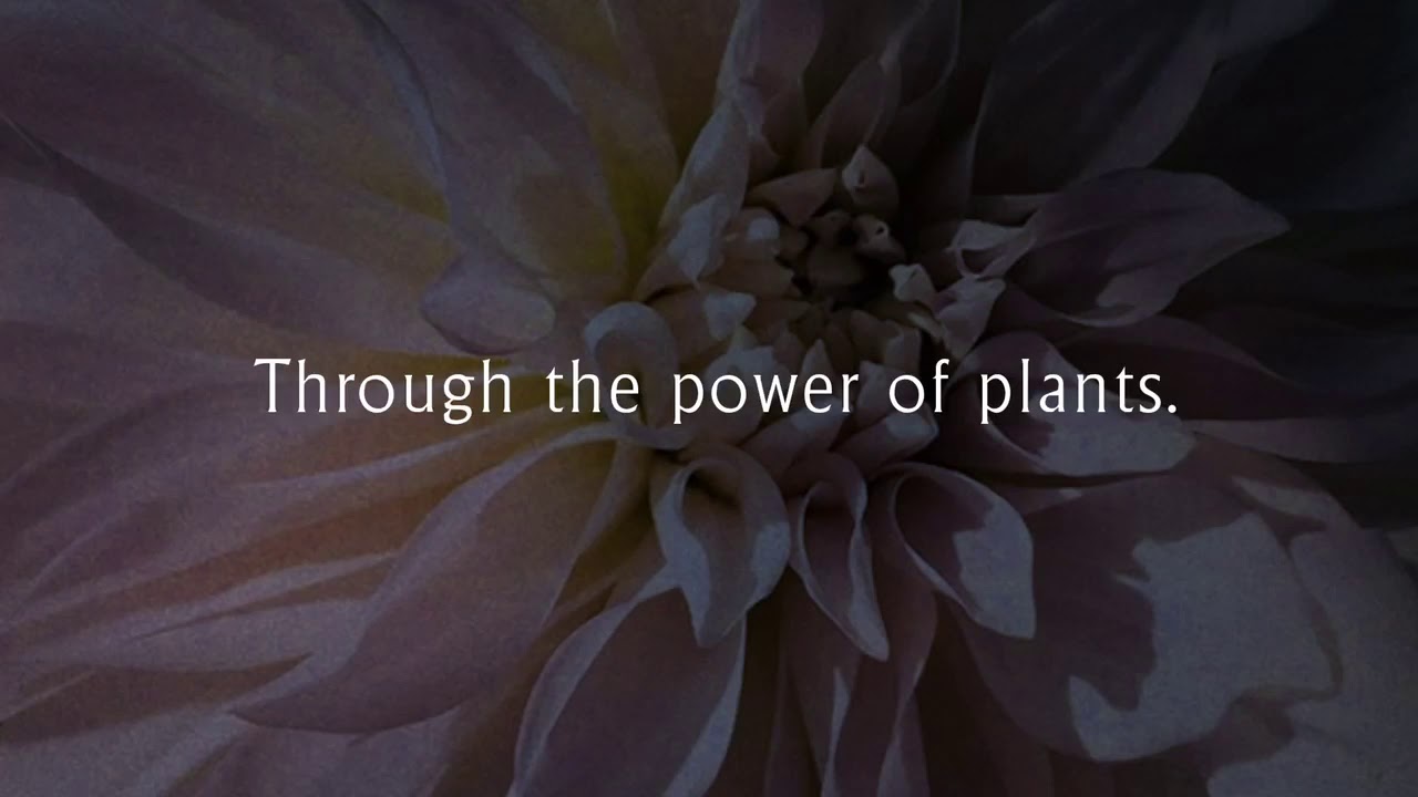 Juna Release the Body, engage the Mind.