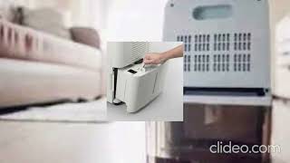 Does A Dehumidifier Help With Mold?
