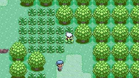 Pokemon emerald walkthrough part 1 - A new start