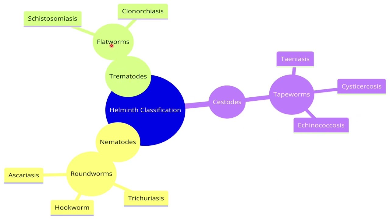 Parasiteka  Schistosomiasis/Bilharzia