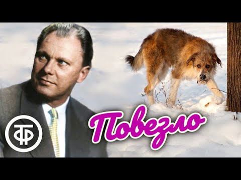 «Повезло». Юмористический рассказ читает Борис Толмазов (1981)