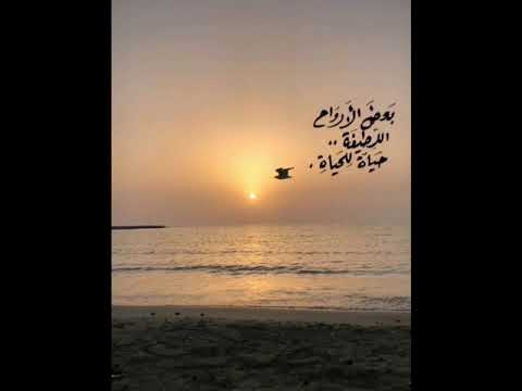 ١ أغسطس ٢٠٢١ 