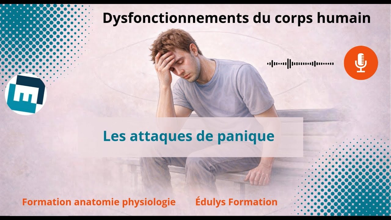 Les attaques de panique - Quand le corps déclenche une alarme - Dysfonctionnements du corps humain