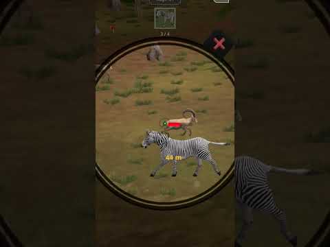 new gaming x video part 219 #video #games #animals