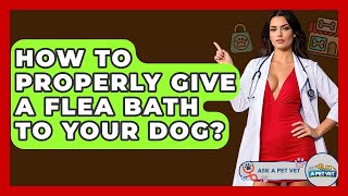 How To Properly Give A Flea Bath To Your Dog? - Ask A Pet Vet How Do You Flea Comb A Dog Ask A Pet Vet
