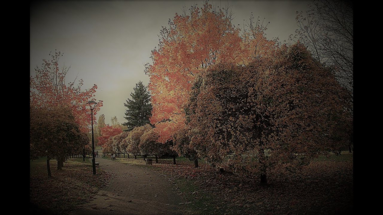 Succubus (you) cuddle with a wholesome Boy [M4F][Monster Listener][Wholesome]