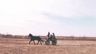 Beite Marathon Training Carriage