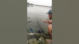 ngetes jebakan udang ning waduk #masihTetapDuniaAir
