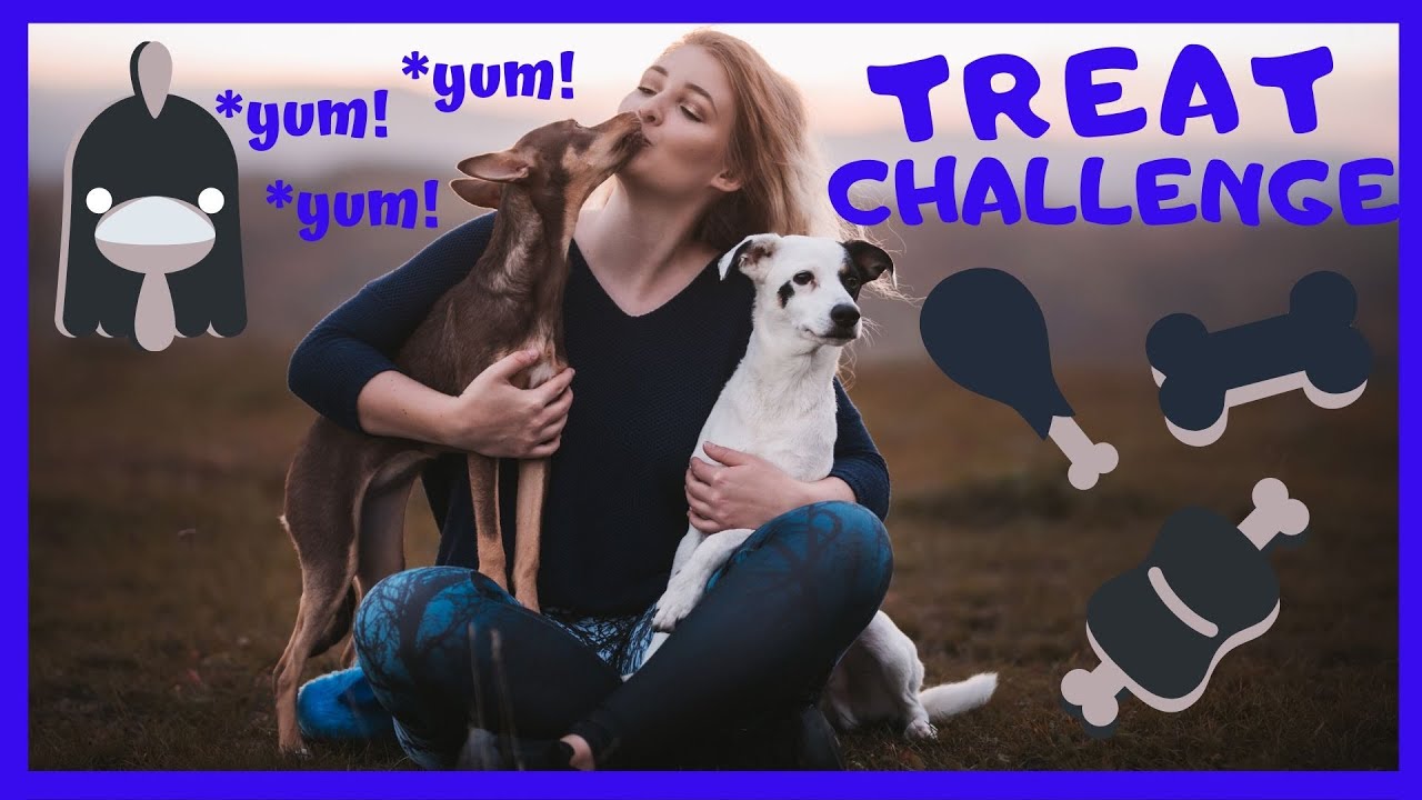 🥩TREAT Challenge | PeruFamily