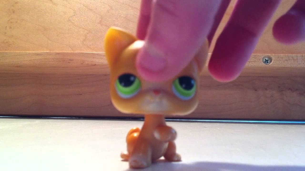 Littlest Pet Shop Collection - YouTube