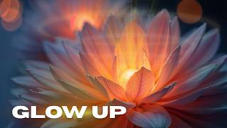 Information Glow up (Morphic Field) Guide