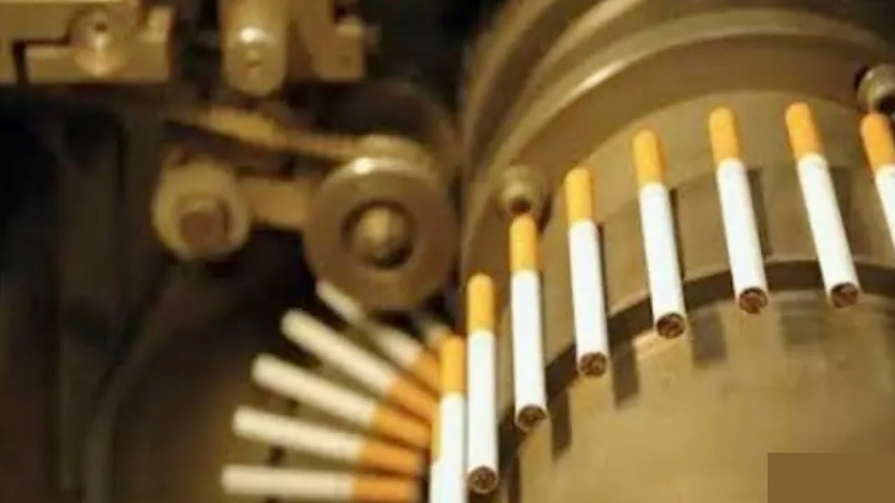 Amazing Tobacco Harvest And Manufacturing Process In Factories-Modern Automatic Technology