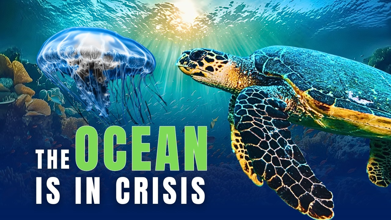 Океан заболевает, и это коснется нас.