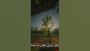 #راحة_نفسية #اكسبلور #الحياني #لايك #المشير #ستوريات #الدوسري_تلاوة_خاشعة_