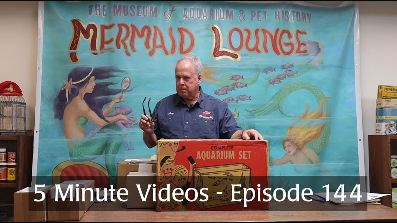5 Minute Videos - Episode 144