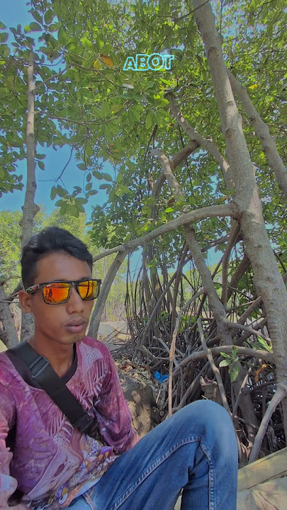 Mending tak tinggal mancing ae bolk #ikanbesar #mancing #katakatabijak #storywa