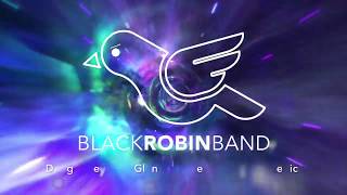 Black Robin Band – Video Killed The Radio Star