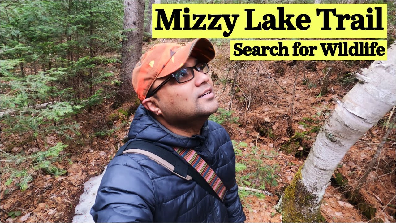 5 Hours on the Mizzy Lake Trail, Algonquin Park