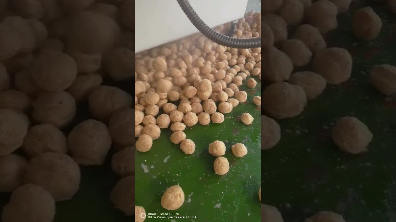 New Type TVP/TSP soya protein Making Machine.