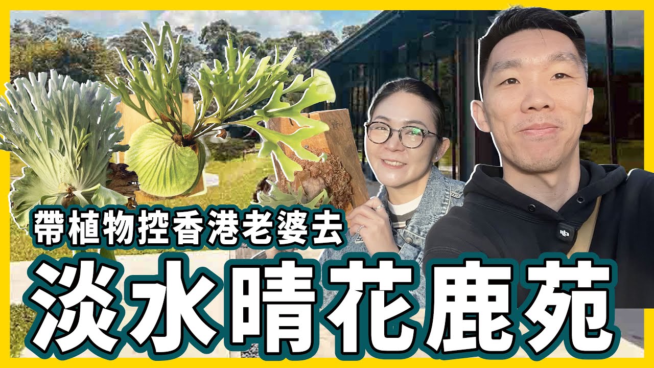 帶植物控的香港老婆去淡水晴花鹿苑︳超療癒的植物園︳很多從沒見過的鹿角蕨