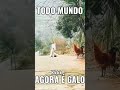 #futebol Atlético x Flamengo.   Todo mundo e Galo kkkkkk