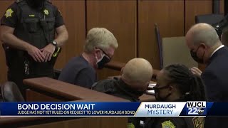 Alex Murdaugh's attorneys fight to have his bond reduced