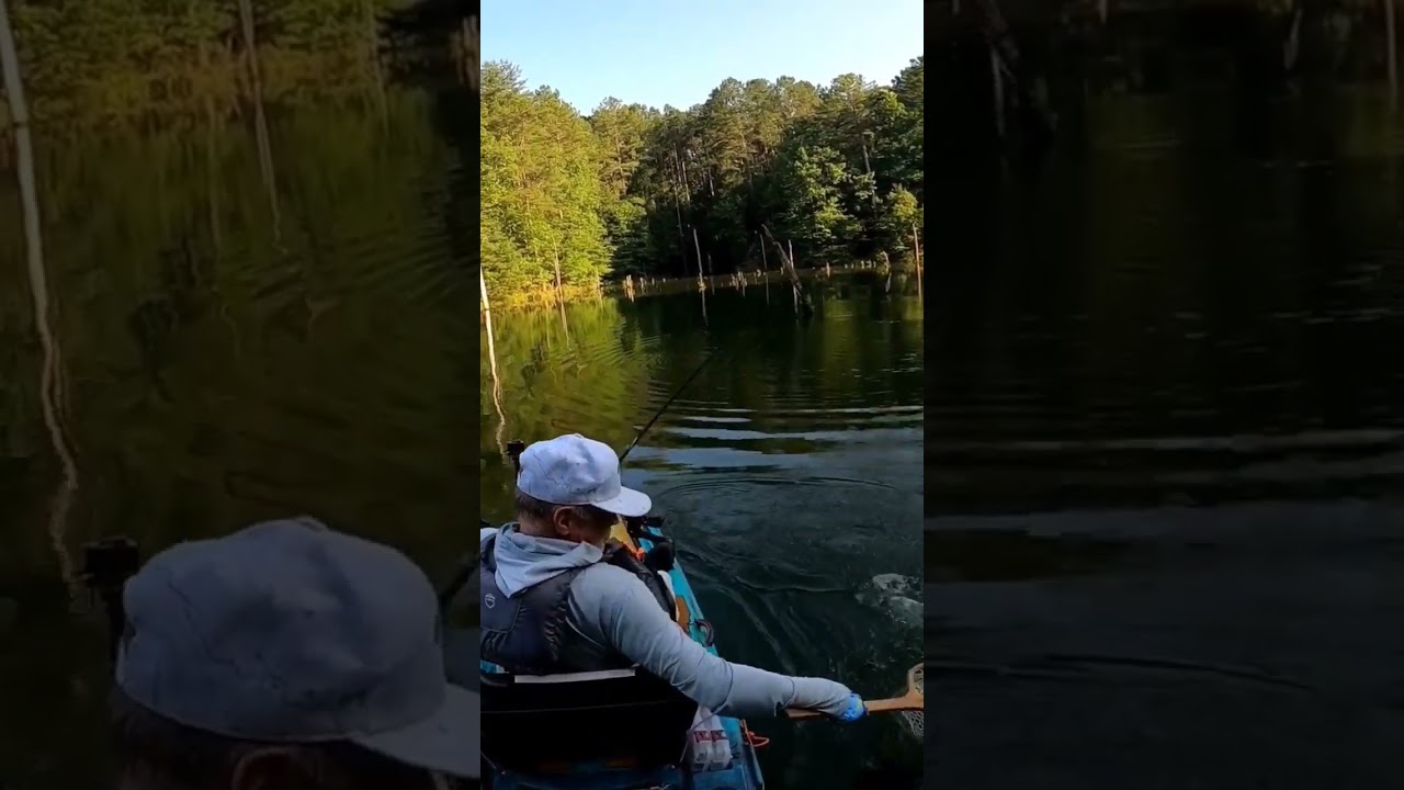 Lip Thrashin Lures Slick Stick Pro in chrome. 