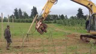 Pour nos systèmes de trellis, nous devons planter plusieurs poteaux de bois afin de soutenir les câbles, qui eux-mêmes soutiennent 