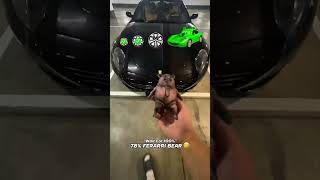 Wait For Gummy Ferarri