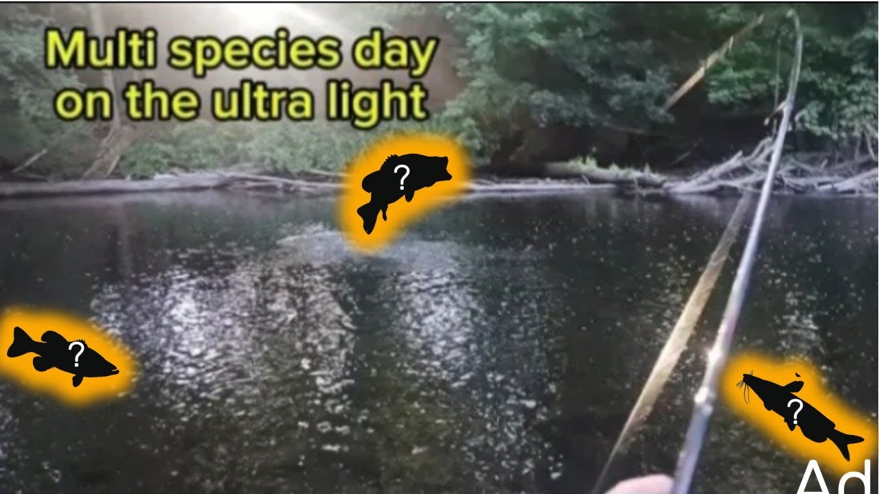 Fishing w/ ultralight tackle for the first time