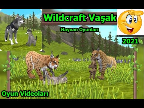 Wildcraft Türkçe (Vaşak), Online Kurt Oyunu, Hayvan Oyunları, Oyun Videoları, 2021 Oyunları