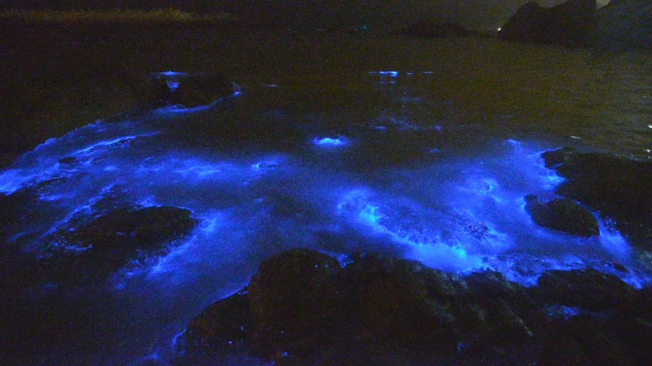 【馬祖觀光】 微光世界-藍眼淚大揭密 (我們的島  第905集 2017-05-08)