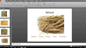 English Grade 1 Week 9 Where Does Food Come From