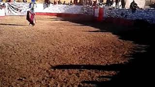 Corrida De Toros 2 En Chicñahui -Challhuahuacho 2016