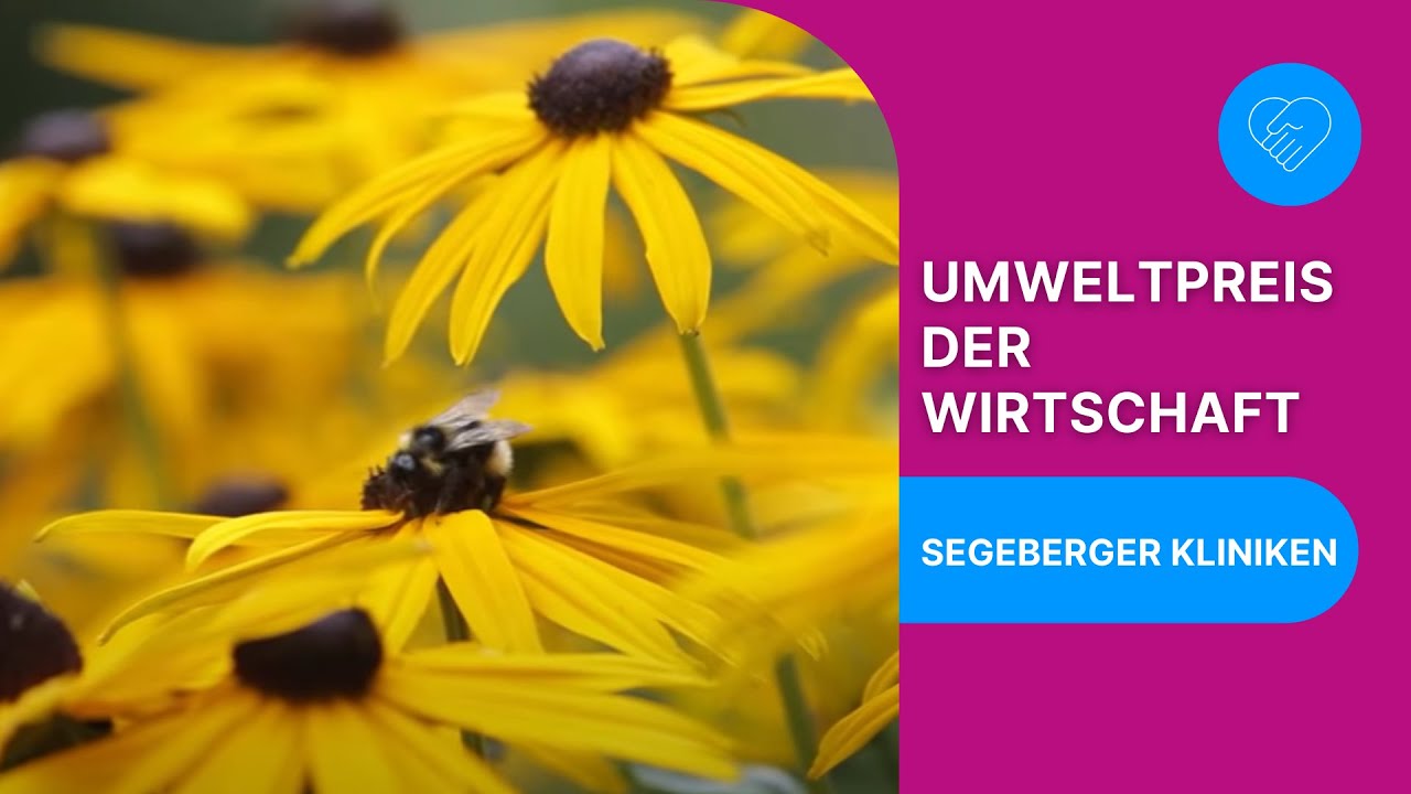 Segeberger Kliniken Umweltpreis Der Wirtschaft 12 Youtube