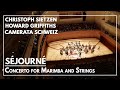 E. Séjourné: Concerto for Marimba and String Orchestra - C.Sietzen, H.Griffiths, Camerata Schweiz