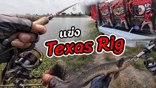 งานแข่งปลาช่อน Texas rig Thailand ครบรอบ 10 ปี