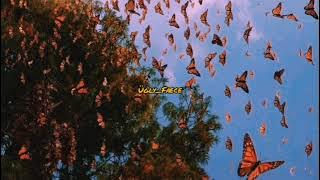 Shawn Mendes - Imagination ( slowed   reverb)