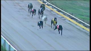 GEL FRI 27 JAN 17 R5