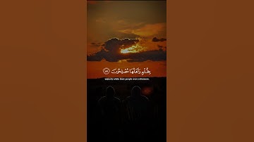 تلاوة هادئة تريح القلب بصوت إسلام صبحي 🎧 #قران_كريم