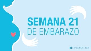 Semana 21 de embarazo | 21 semanas de embarazo | El embarazo semana a semana