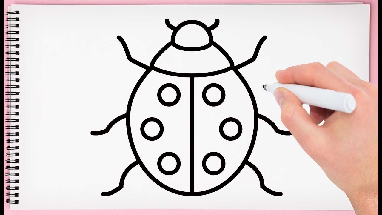 Red ladybug ladybird with black spots sketch illustration isolated on  white background black and white realistic hand drawing of ladybug or  ladybird on white background Stock Vector  Adobe Stock