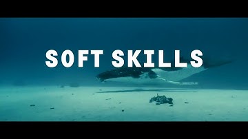 Что важнее сегодня  Hard skills или Soft skills