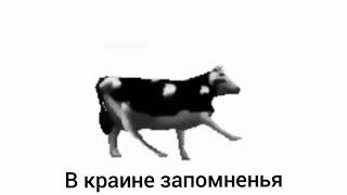 Польская корова - танцует под музыку №94
