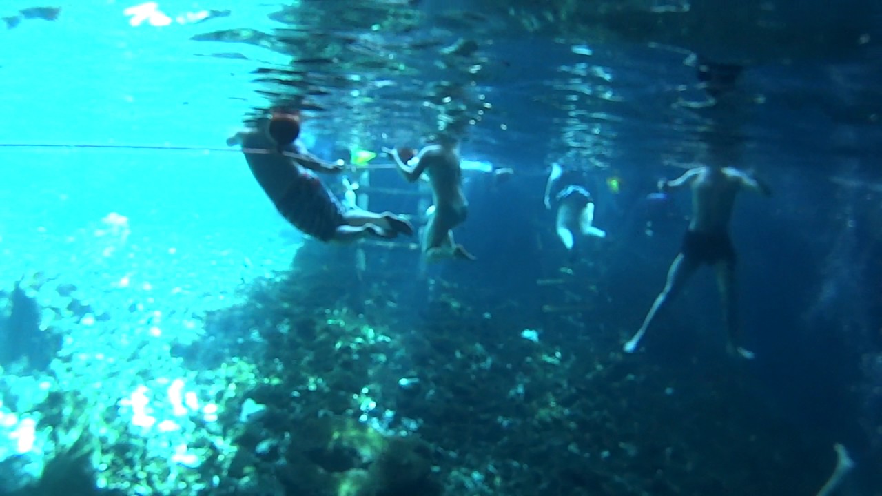 Snorkeling Gran Cenote, Tulum, Quintana Roo YouTube