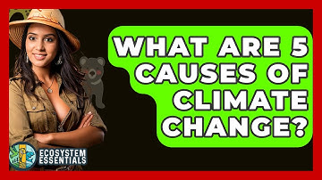 What Are 5 Causes Of Climate Change? - Ecosystem Essentials