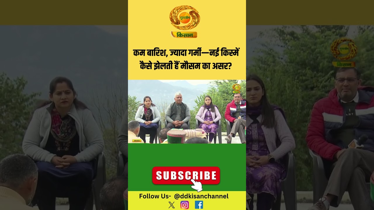 Climate Resilient Crops | कम बारिश, ज्यादा गर्मी—नई किस्में कैसे झेलती हैं मौसम का असर? | DD Kisan