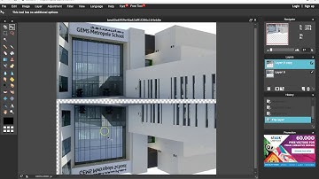 Creating a Reflection in pixlr
