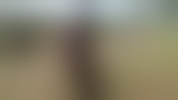 Fostech Echo 2 9mm AR Pistol