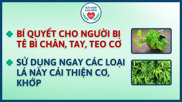 Bí Quyết Giảm Teo Cơ, Tê Tay Và Yếu Chân Ở Người Cao Tuổi: Dùng Ngay Các Loại Lá Này